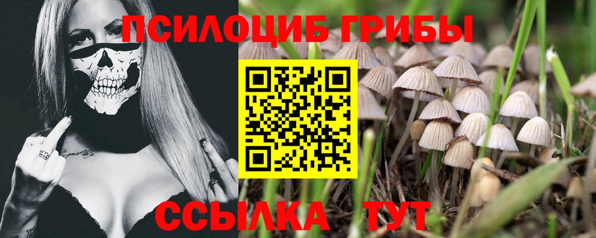 Галлюциногенные грибы ЛСД  Вход с VPN  Псилоцибиновые грибы мицелий  Хасавюрт 